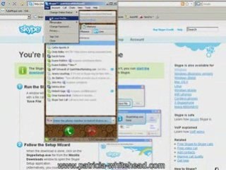 (skype introduction)