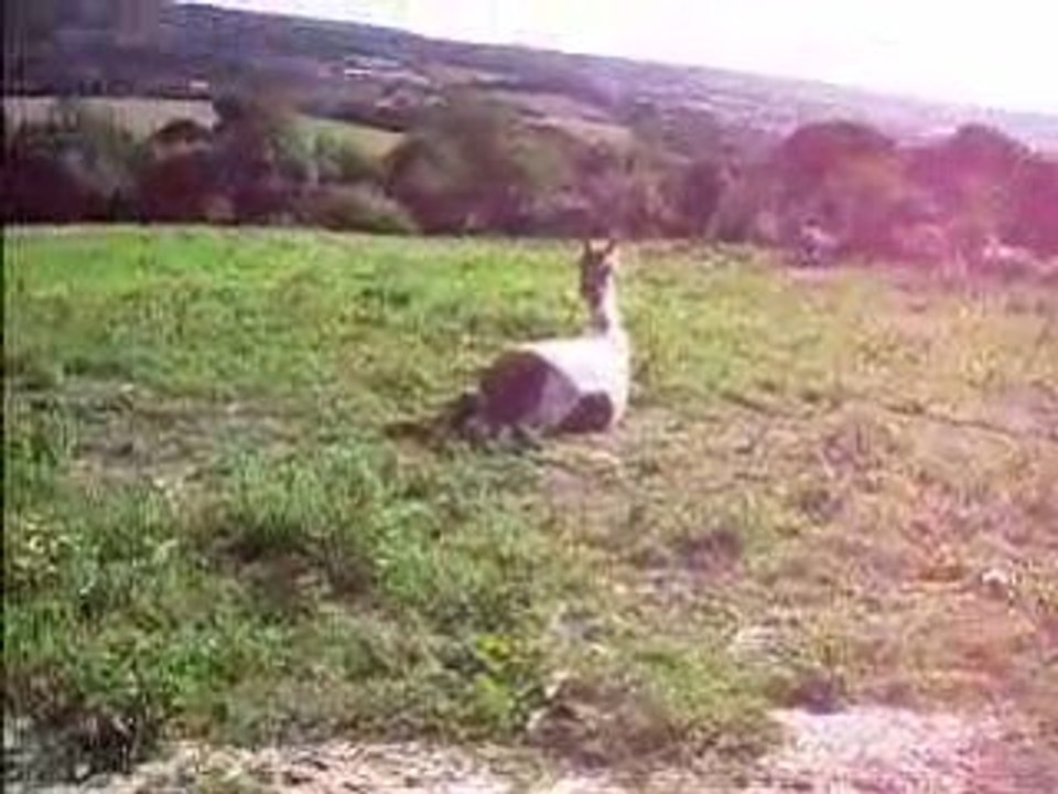 Vive la bouillasse !!!