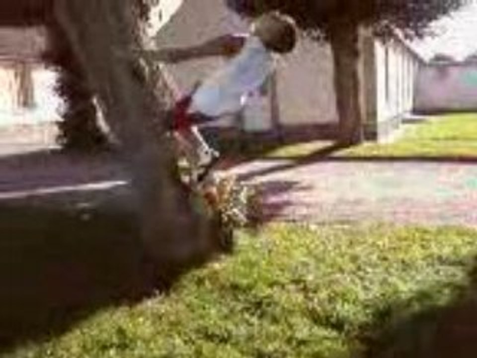 Contre arbre