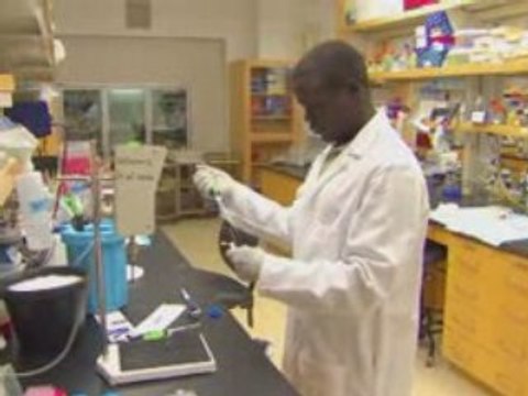 Klaus Ammann Discusses Advantages of Genetic Engineering