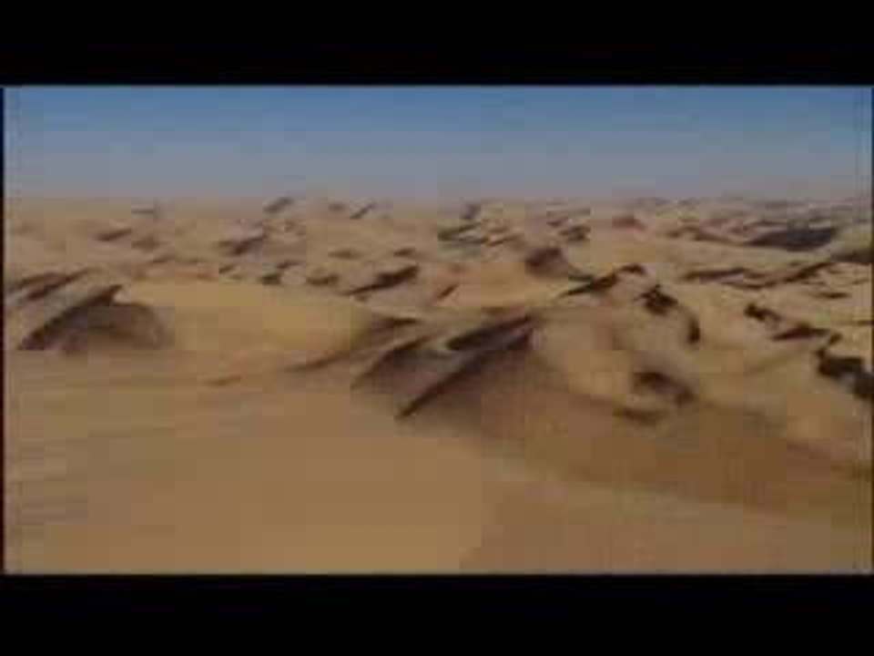Dirty Harry Video