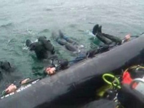 Synchronised Inverted Entry