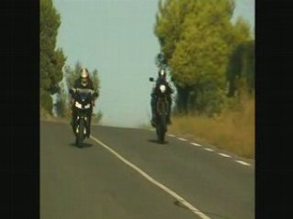 stont=stunt aromatisé a la biere souchky