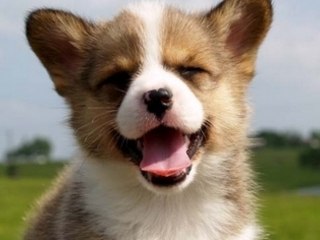 ΔΕΛΤΙΟ ΕΙΔΗΣΕΩΝ 22/08/2008