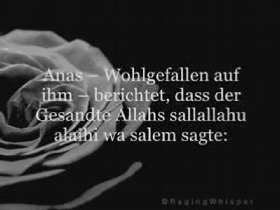 11 Fragen an meine Geschwister Islam Allah Iman Taqwa