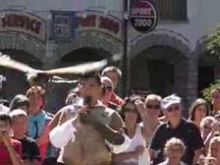 Fauconnerie à La Clusaz