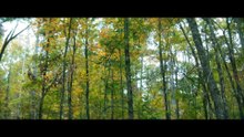 Mel Gibson face à une chasse à l’homme impitoyable (2026)  Film Action Complet VF