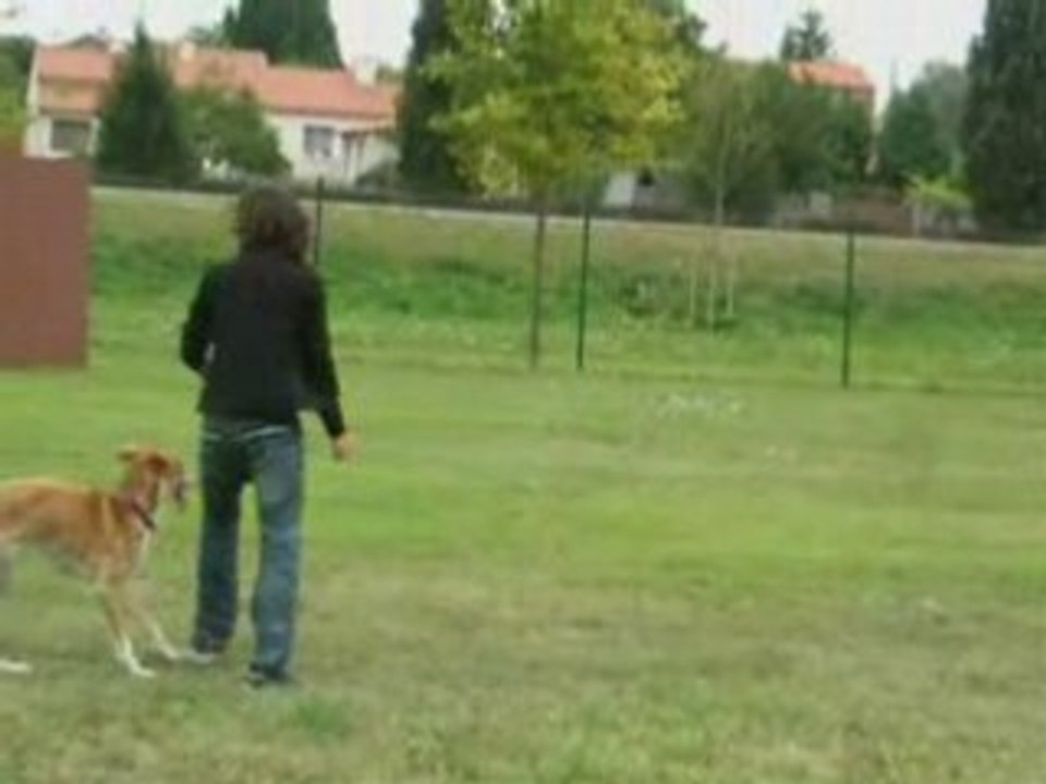 Vanook reprend!