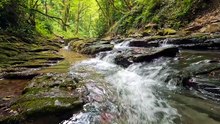 Musique Relaxante & Sons de la Rivière 🌿 _ Nature Calme