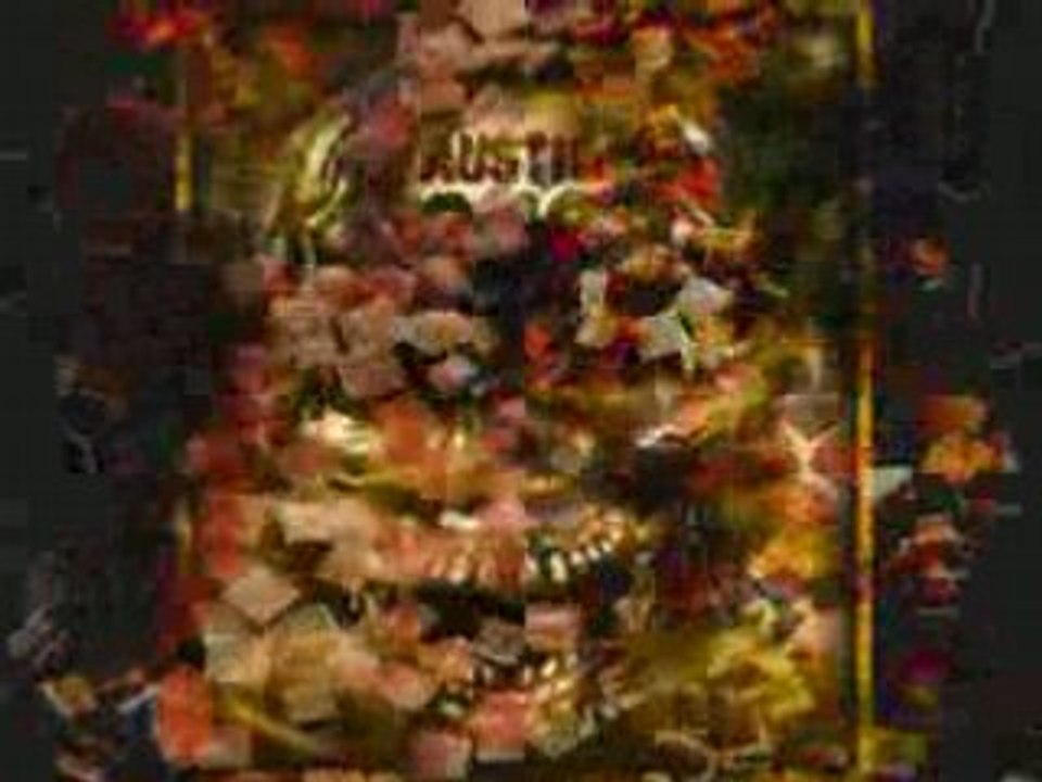 Stone cold steve austin