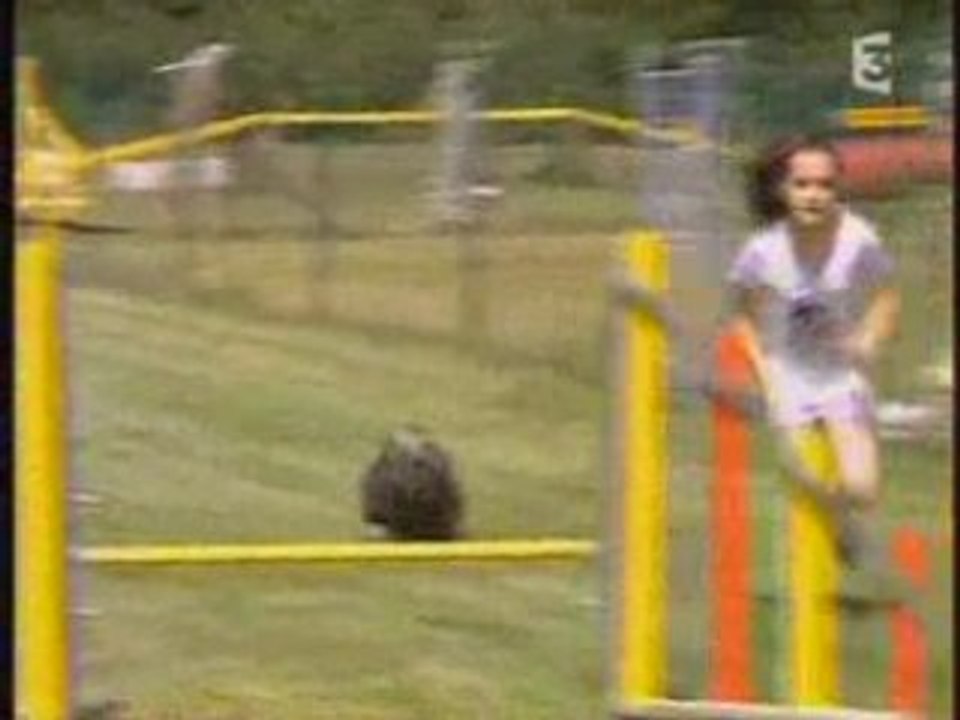 Marwinn&Lucas-Manon&Moopy-30 Millions D'Amis