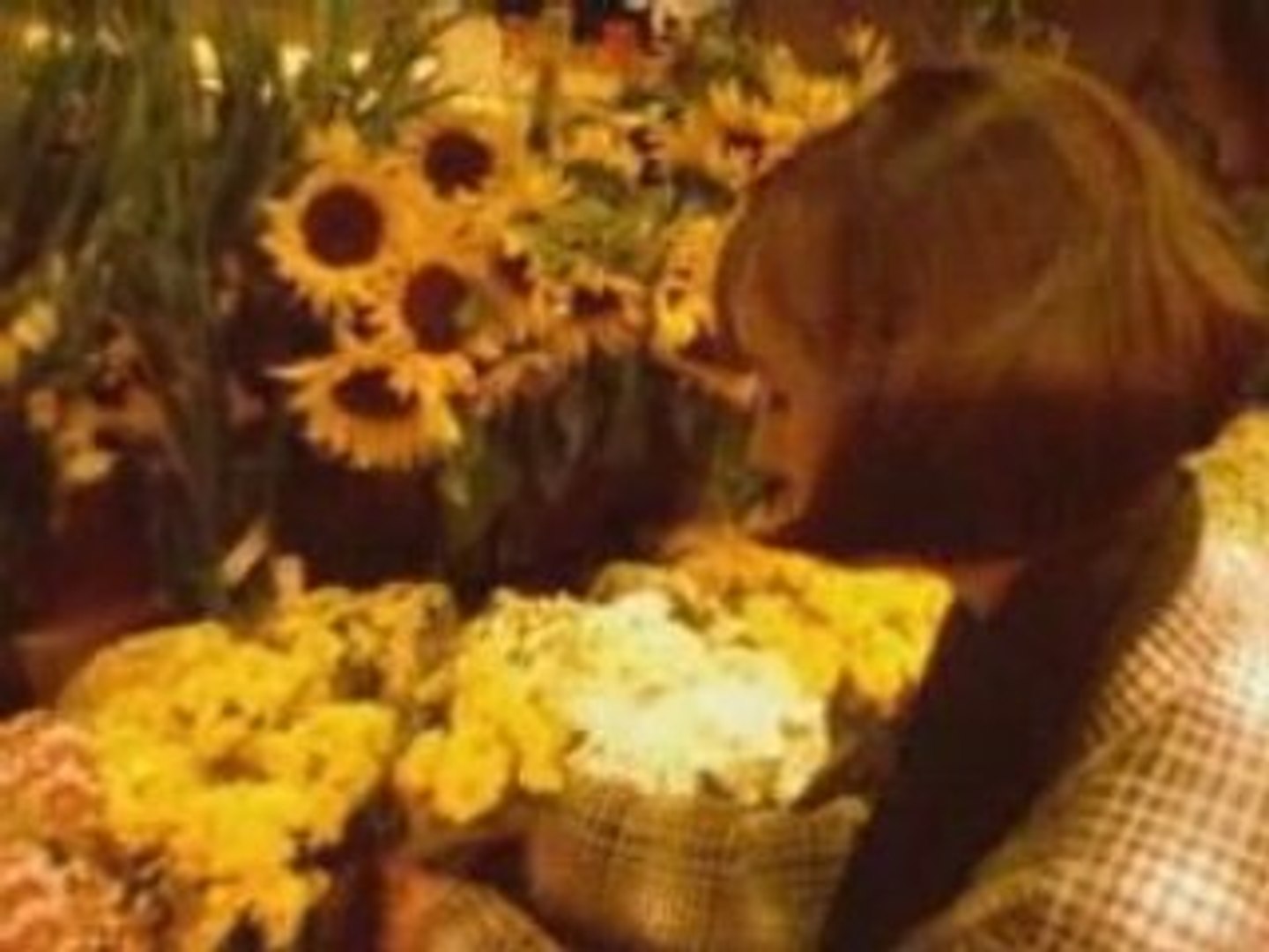 DJ Bobo - Love is all around