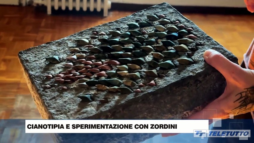 Video News - Cianotipia e sperimentazione con Ramona Zordini