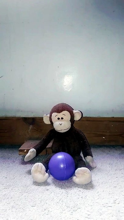here is the monkey magic amazing - video Dailymotion