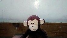 here is the monkey magic amazing