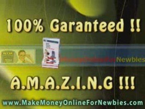 Make Money Online For Newbies (19)