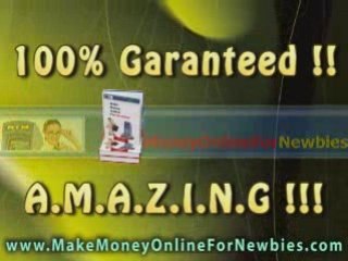 Make Money Online For Newbies (19)
