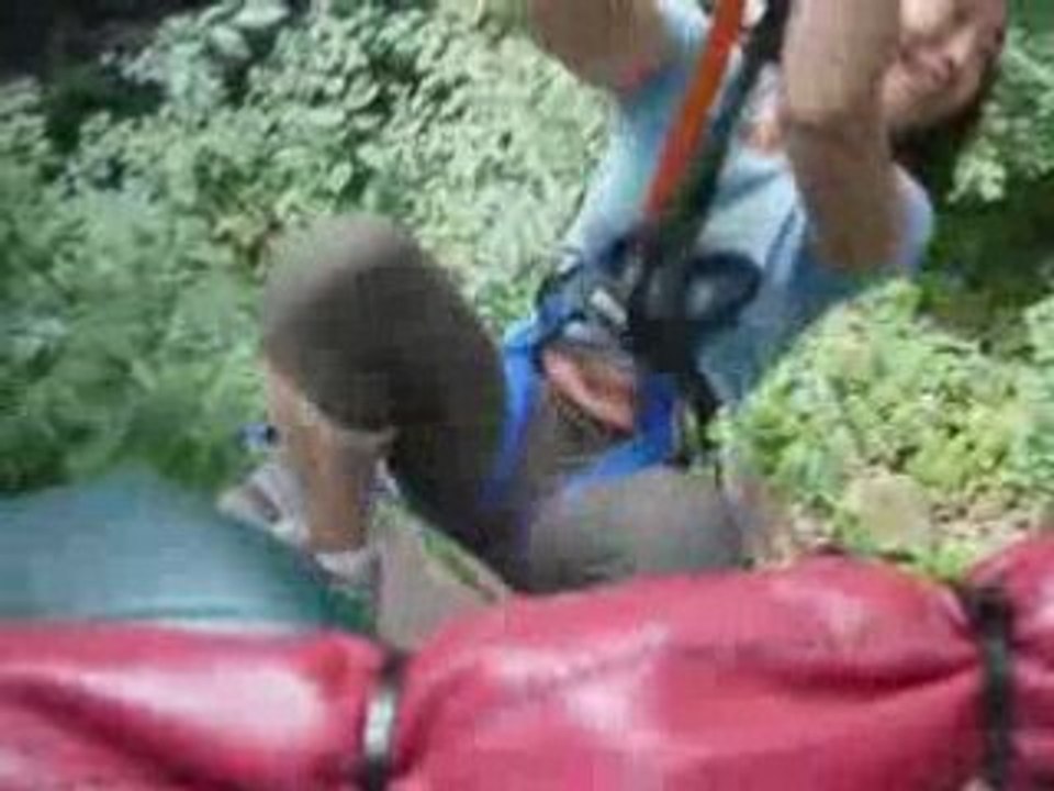 20080809 - Arbres en arbres