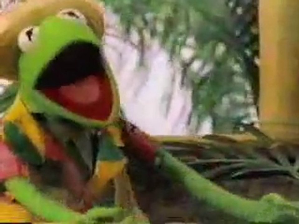 Kermit la Grenouille en mode Jamaïcain - Caribbean Amphibian