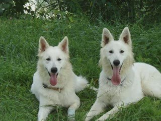 CHADO ET CHUCKY  PARTIE DE PECHE