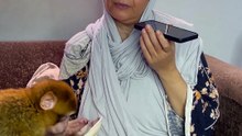 IMG_6109