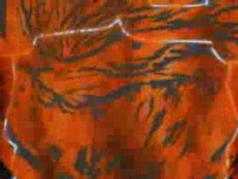 AMV- Naruto -vc- Neji -AMV