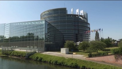 Frères musulmans,le Parlement européen examine une réponse f..