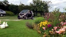 Die Rosenheim-Cops -270- Ein Alibi für alle