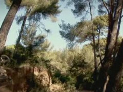 Formation Premiere Pro CS3 // Montage Final