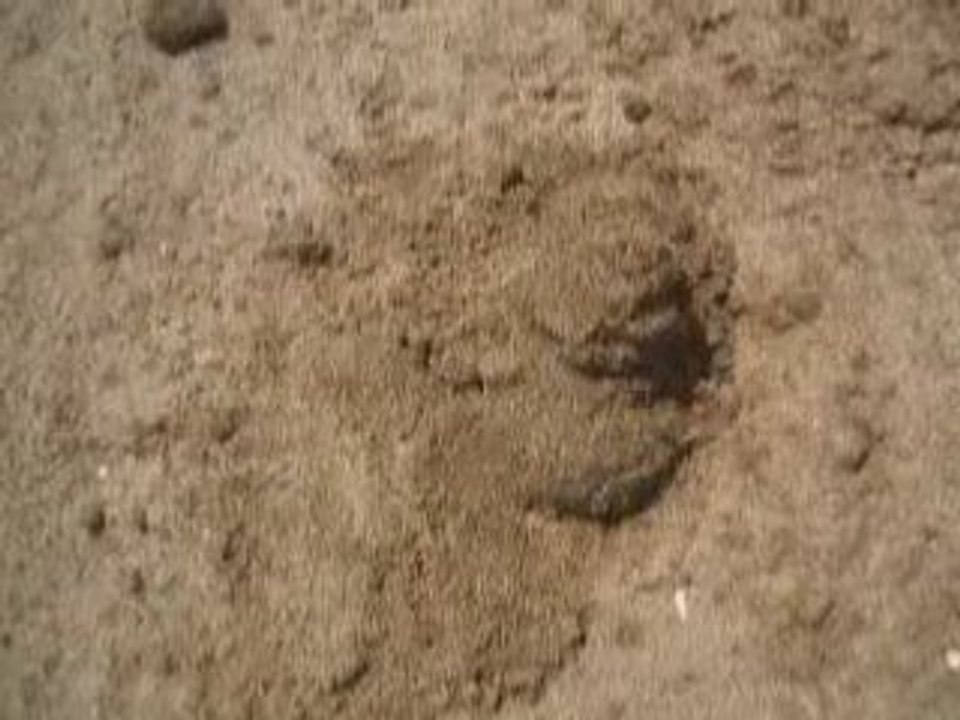 DSCF0504
