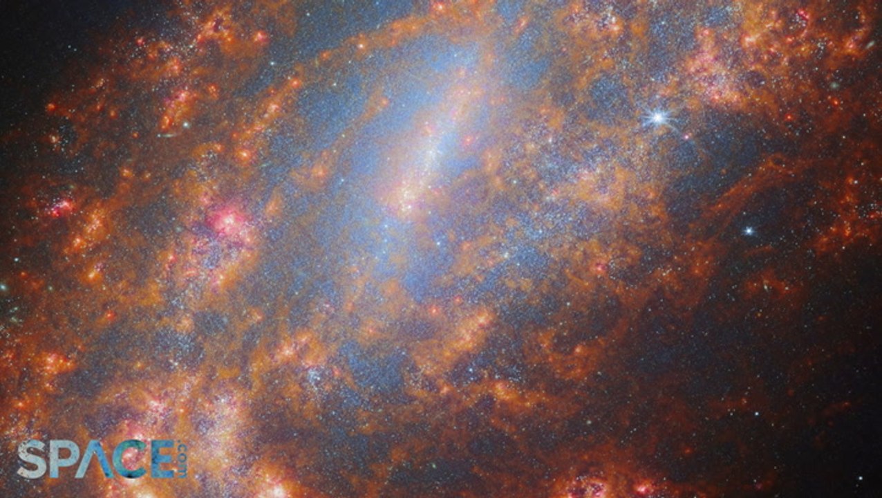 James Webb Space Telescope:  Captures Barred Spiral Galaxy NGC 1559