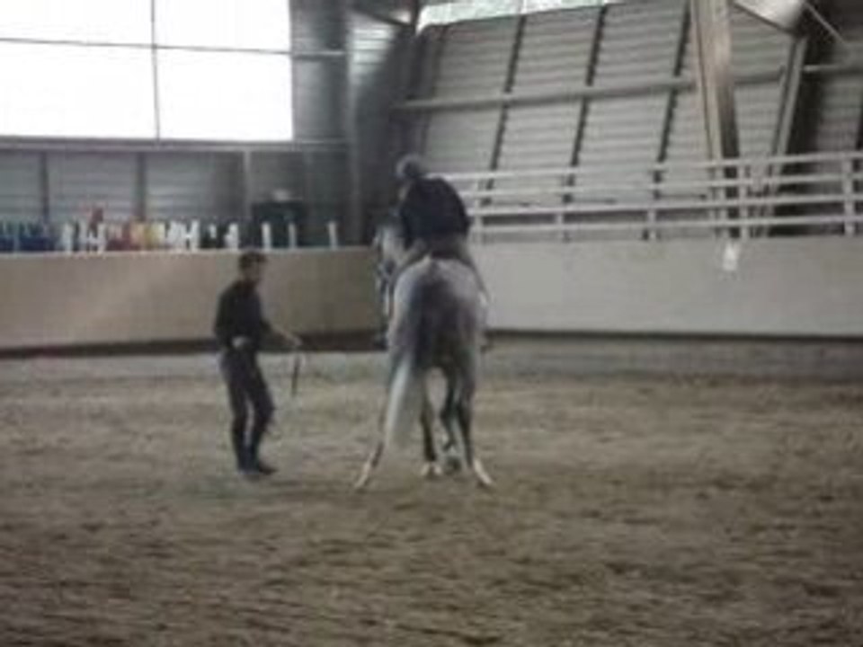 chyvas au débourage3