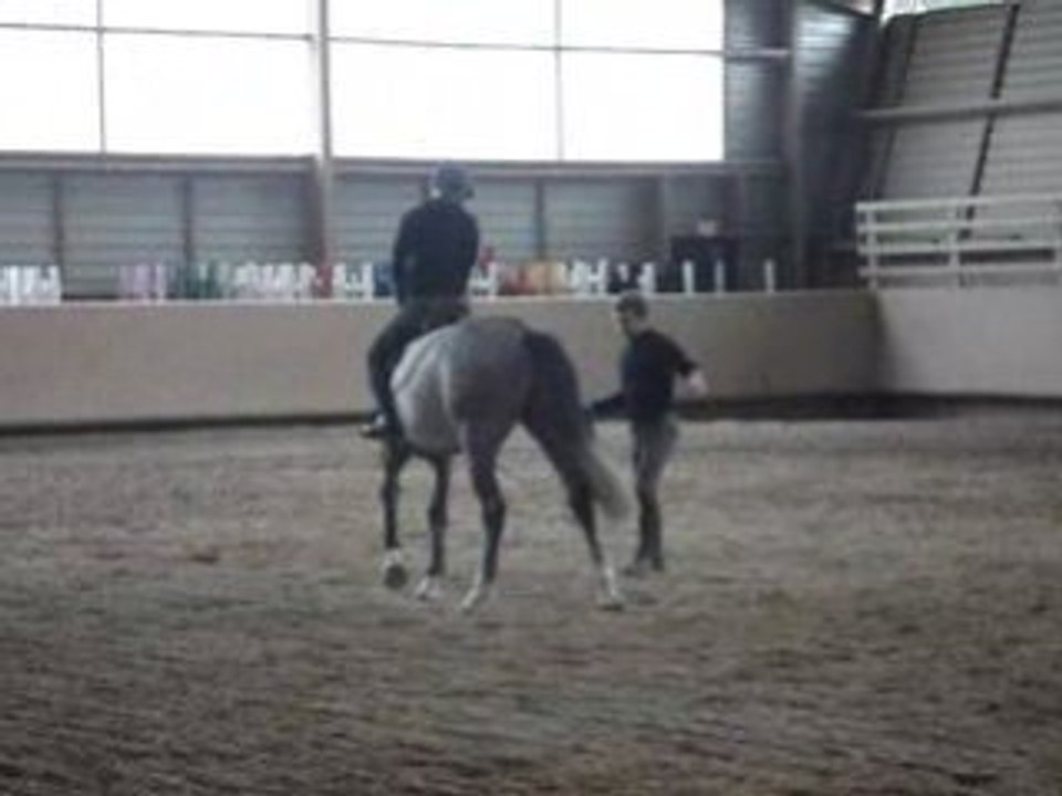 chyvas au débourage4