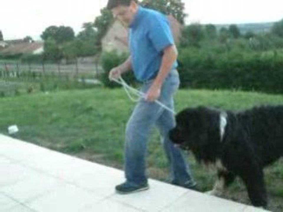 dina & cooper