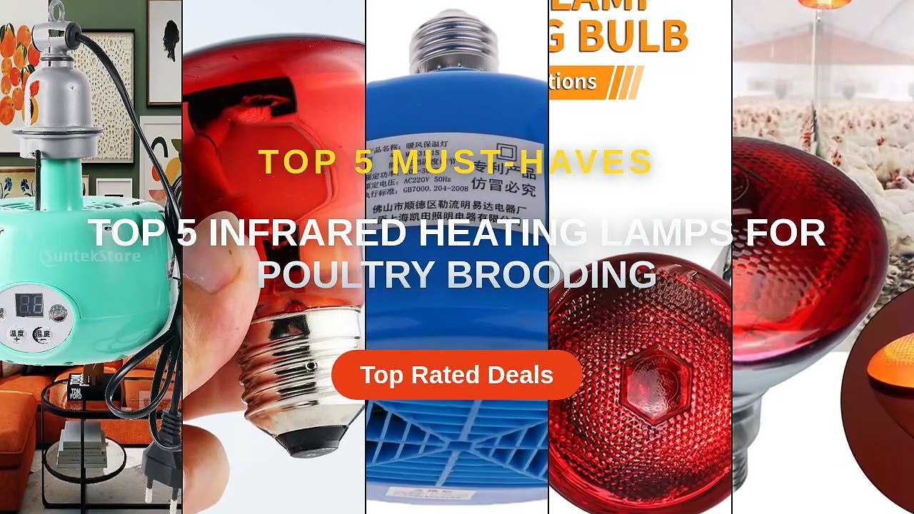 Amazing Top 5 Infrared Heating Lamps For Poultry Brooding You Need To ...