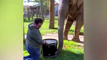 ADORABL.E WILD ANIMALS