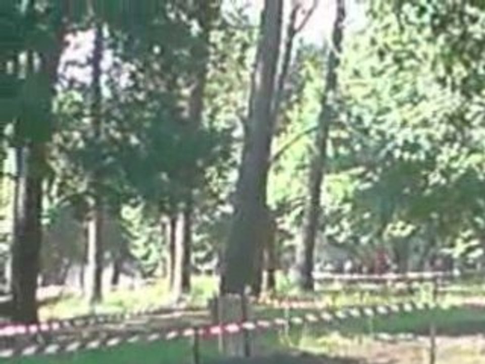 rallye d'orthez part 3