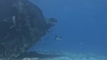 O Mistério do Triângulo das Bermudas.