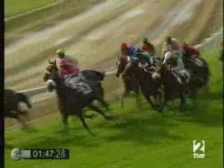 2008 (283) COPA DE ORO DE S.S. 2016 (Cat. A) (BANNABY -FR-)