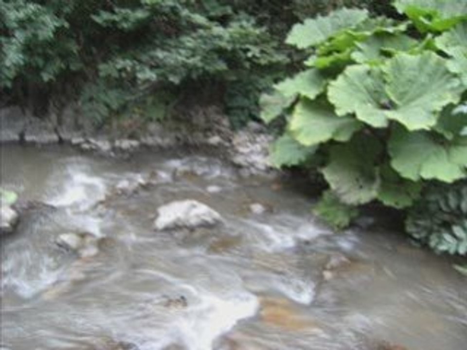 tarih