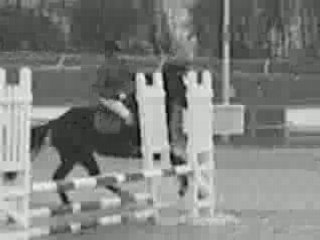 "ambre mix" a dampleux