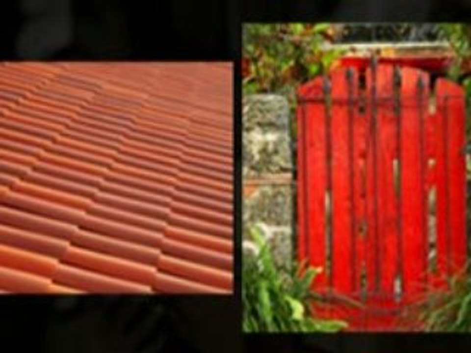 Barbados Business Marketing With Online Video Advertising