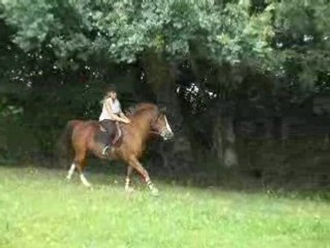 Photos dernier jour de vacances aout 2008 089