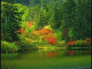 Michaella---Helm-Beaid