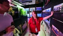 FISH STORE EMPLOYEE Picks Out My NEW FISH!! (No Budget)