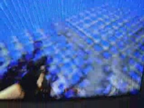 powned & cocozz in counter