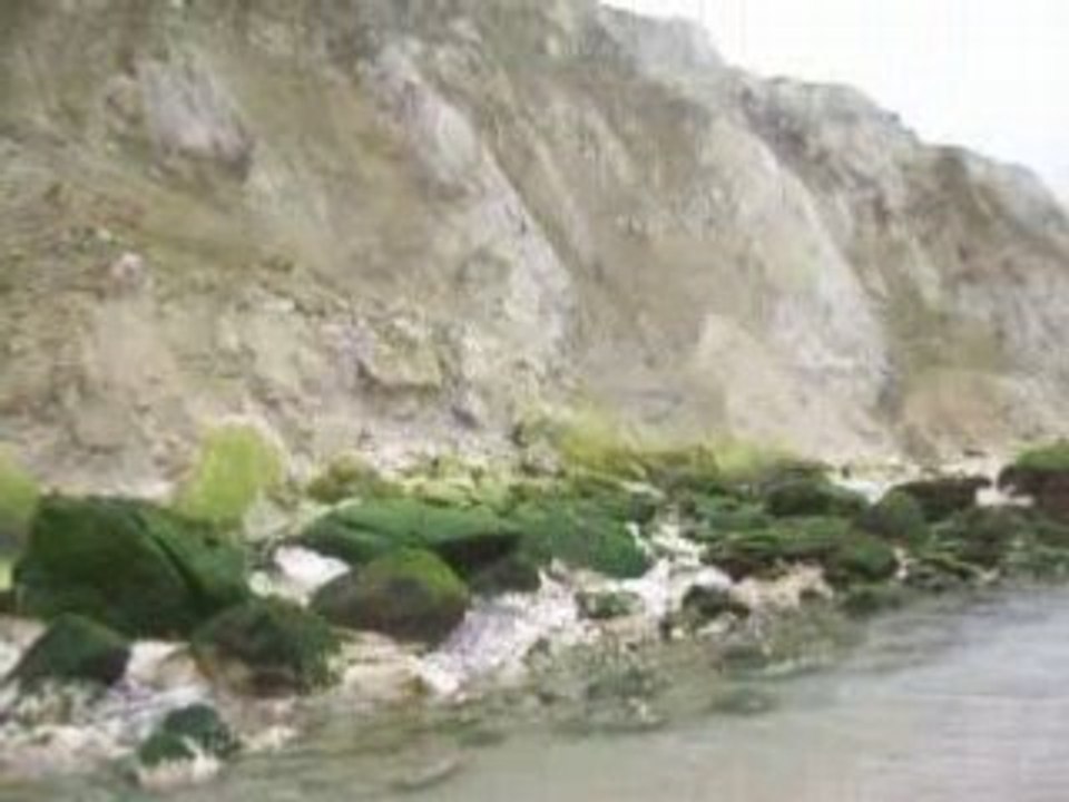 Capblancnez1