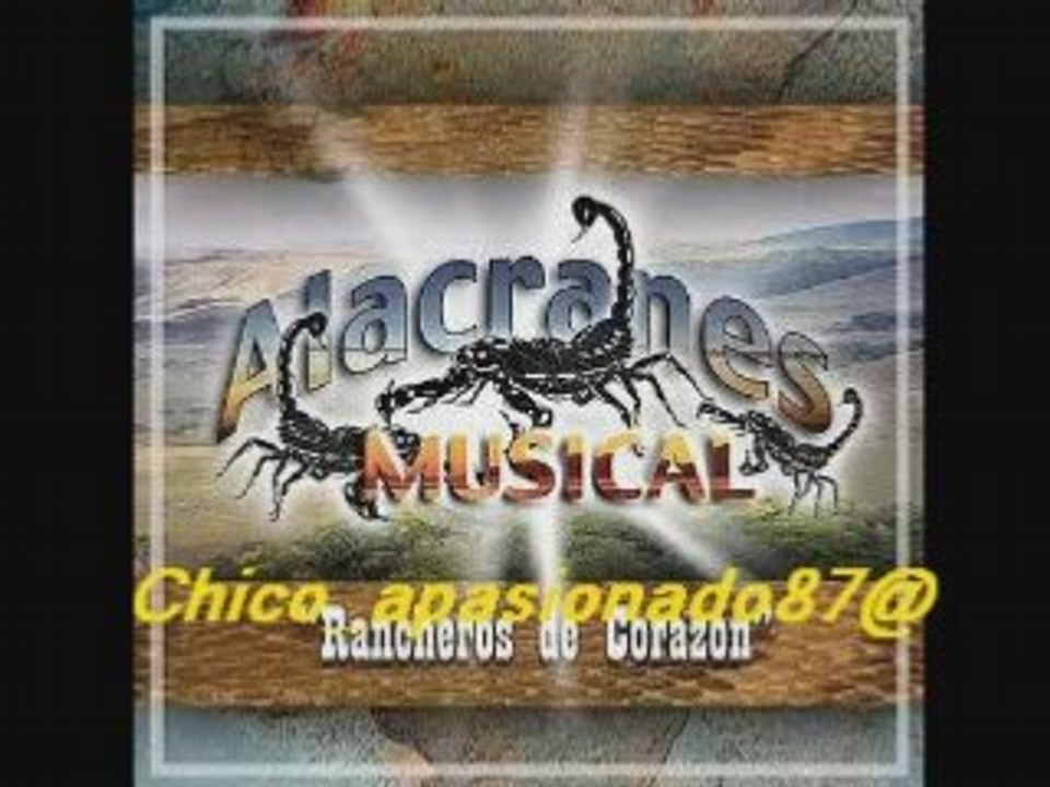 Alacranes Musical - No voy a llorar