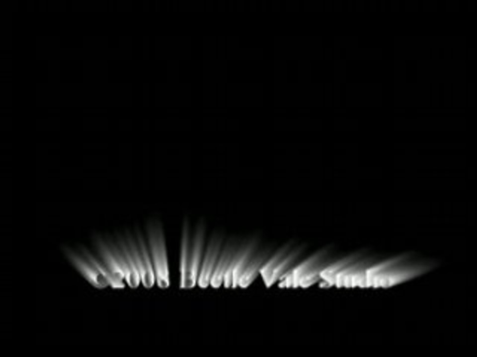 Beetle Vale Copyright