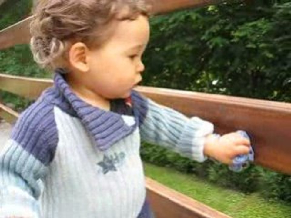 Juillet 2008 006 (2)